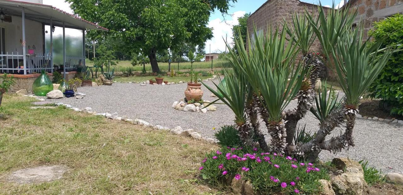 La Cascina Della Grotta Di Tufo Bed & Breakfast San Valentino  Luaran gambar